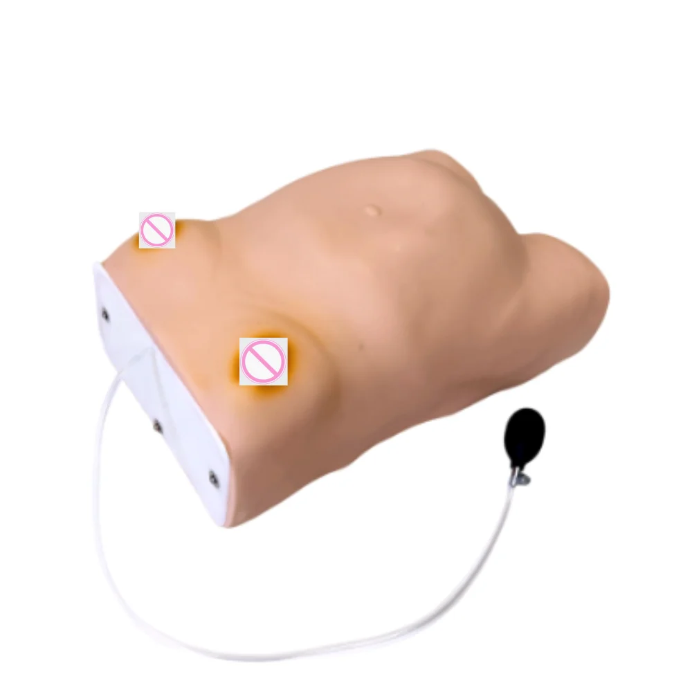 Advanced Maternity Screening Model Pregnant Woman Examination Gynecologic Practice Teaching and Training Simulator
