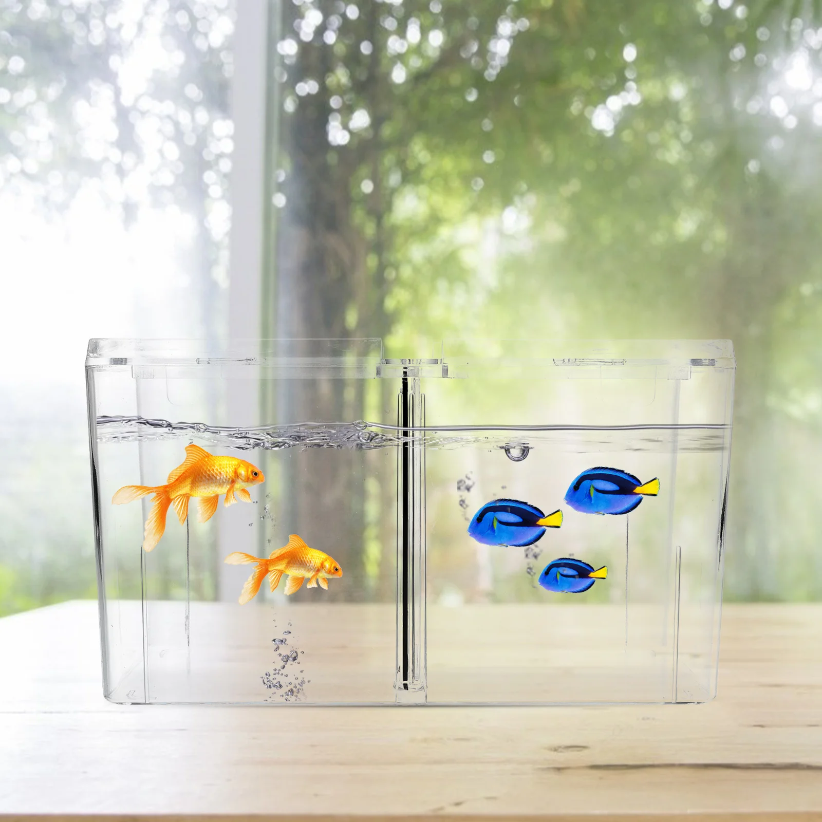 

Multifunctional Betta Box Aquarium Isolation Breeding Hatching Tank Incubator Practical Easy Clean Long Life Fish Nursery