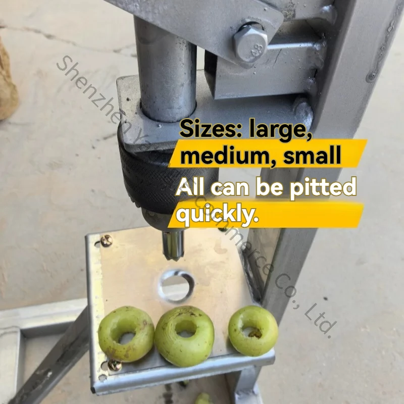 Oil Sweet Fruit Core Remover Oil Orange Removal Jujube Removal Machine Special Seed Removal