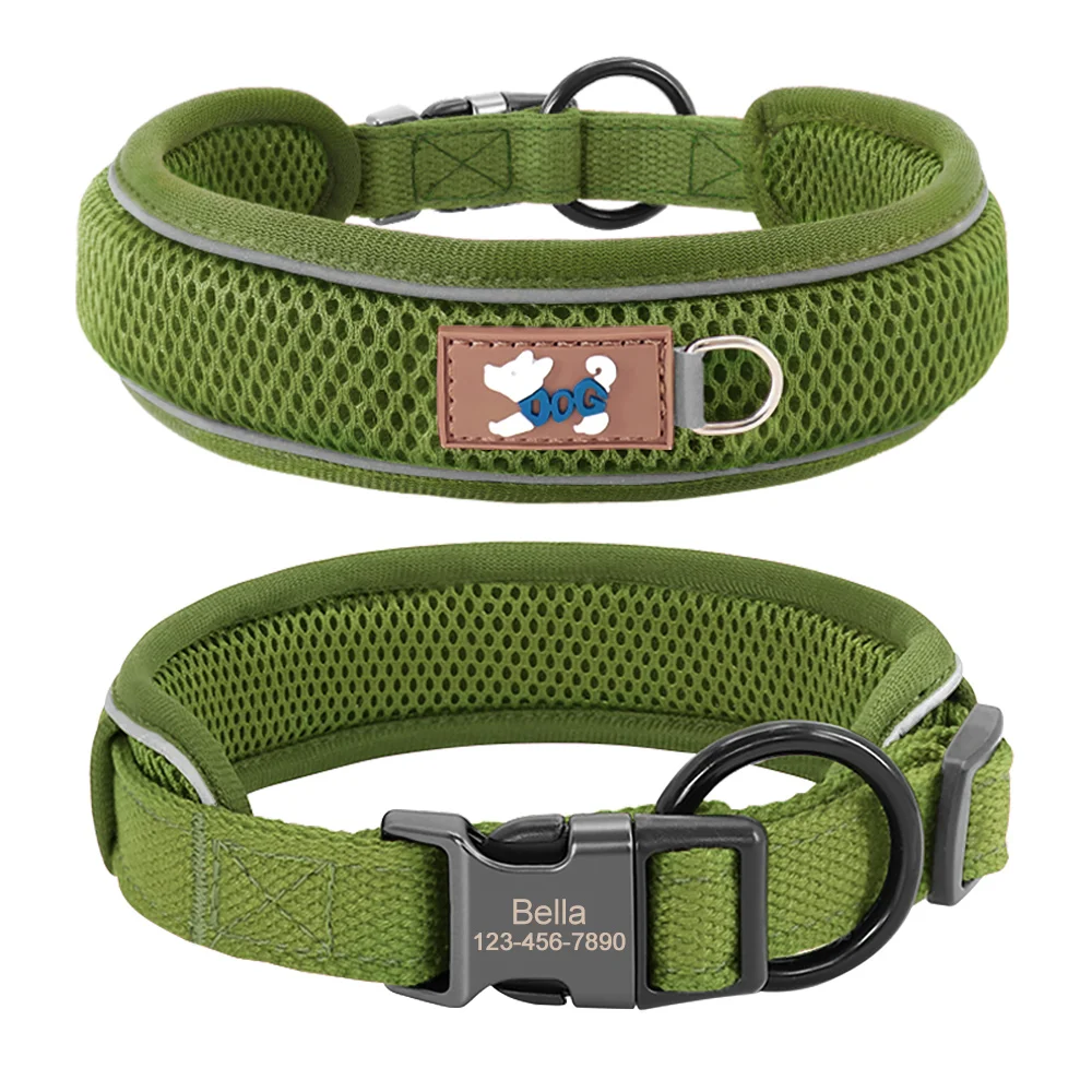 Thumbnail 2 - #57 Best Pet Collars to Buy In 2026