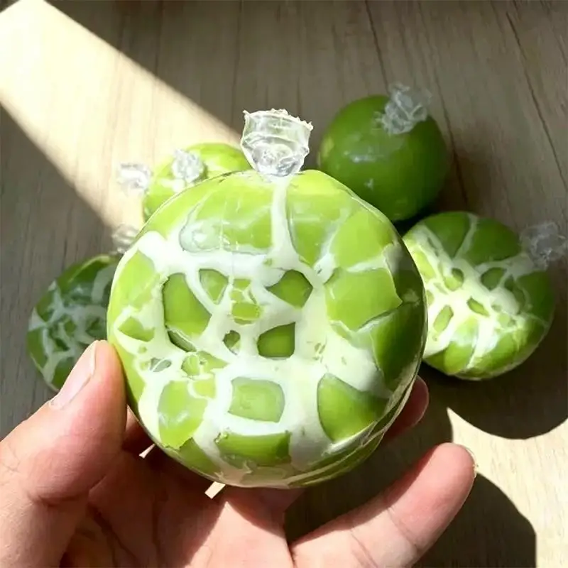 Mochi Stress Relief Balls Soft Crunchy Sound Stretchable Sensory Toys for ADHD Kids Adults Home
