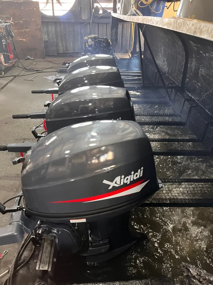 Corrosion-Resistant 40HP Tiller Control Boat Engine for Commercial Use
