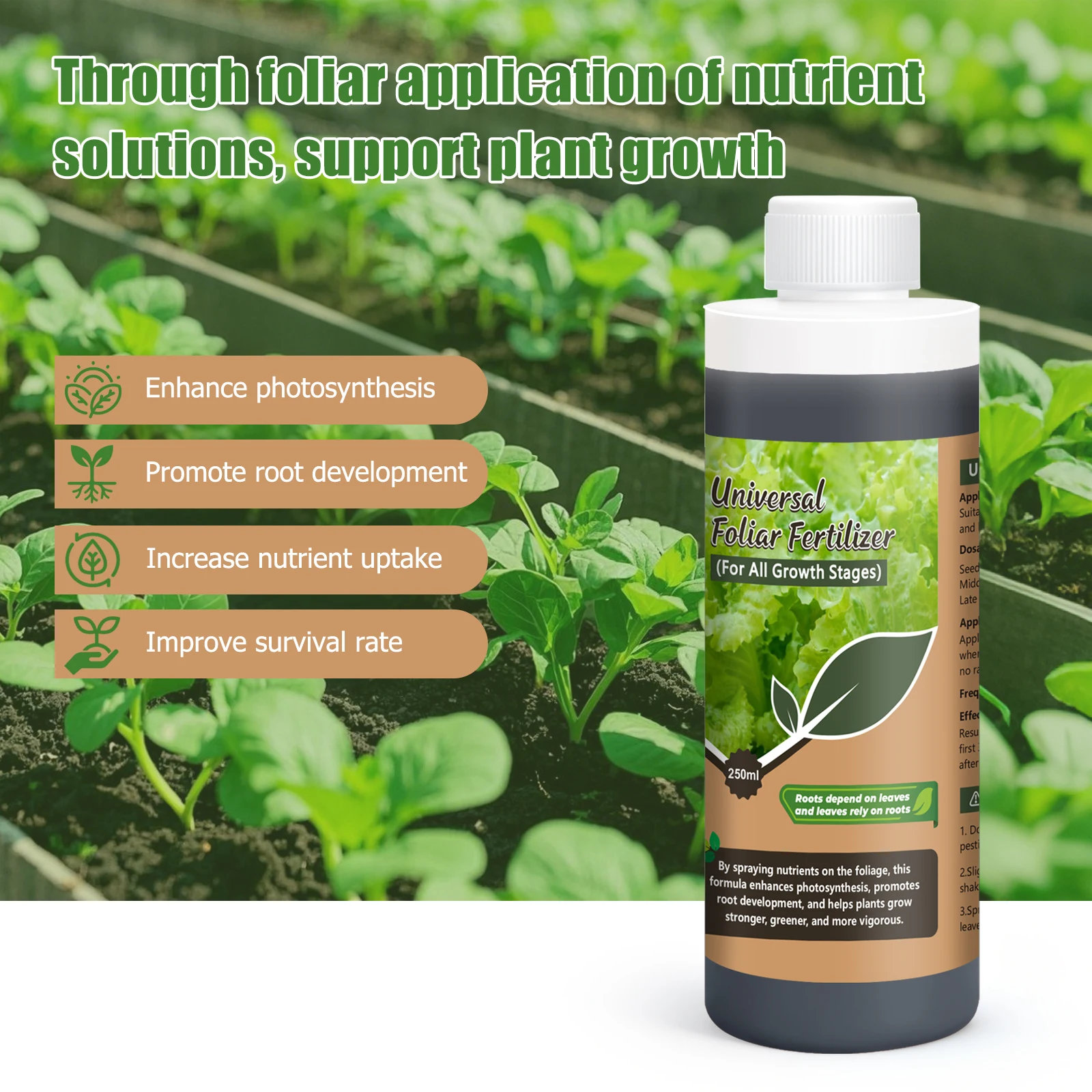 ปุ๋ยฉีดพ่นอเนกประสงค์สำหรับทุก - Liquid Fertilizer All In บทวิจารณ์และราคา