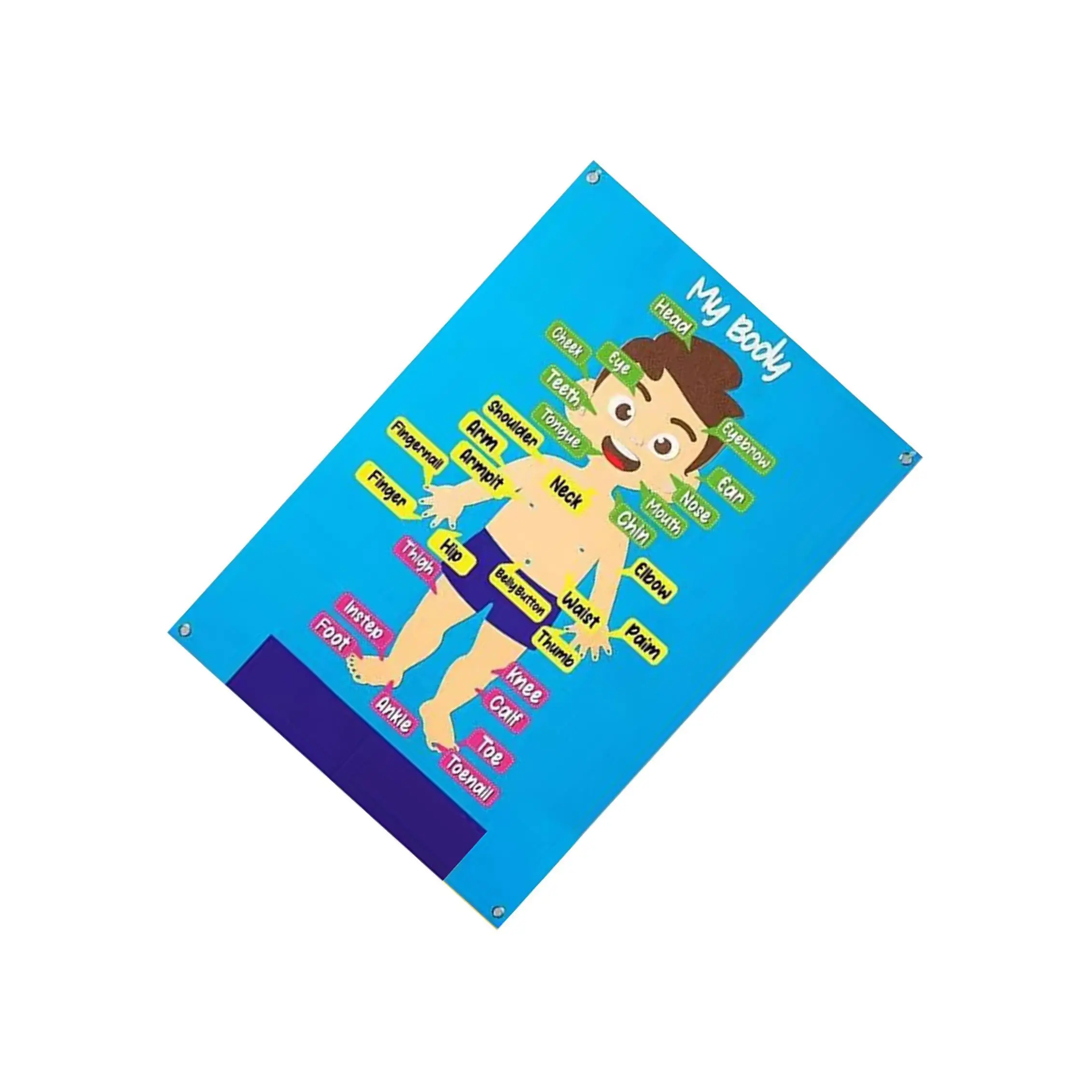 

Body Wall Hang Storytelling Activities Kits Teaching Aids for Living Rooms
