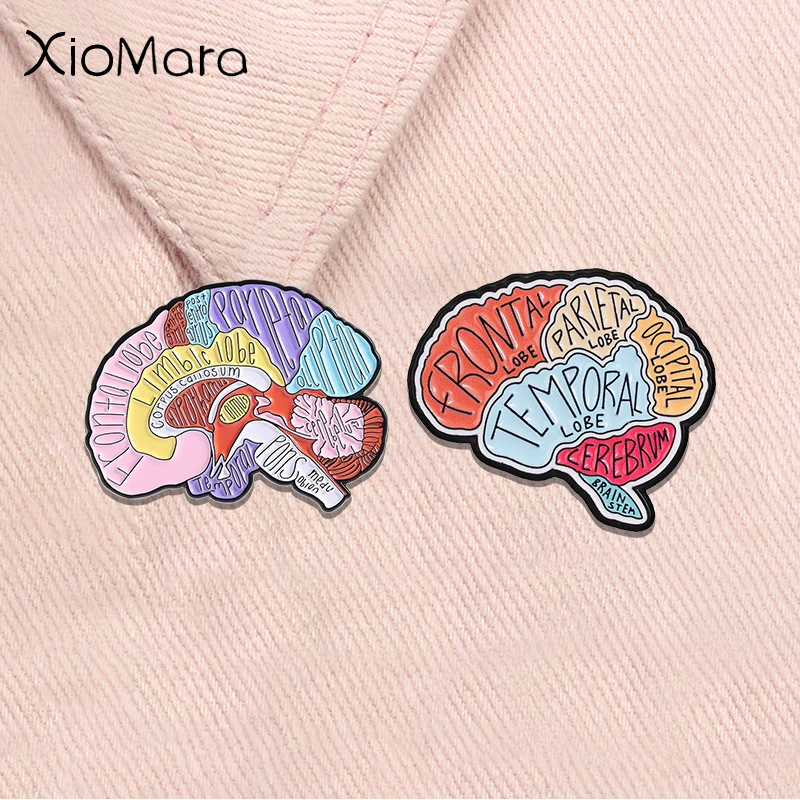 Human Brain Anatomy Enamel Pins Organ Medical Model Colorful Brain Lobe Diagram Brooches Medicine Badge Medical Student Jewelry