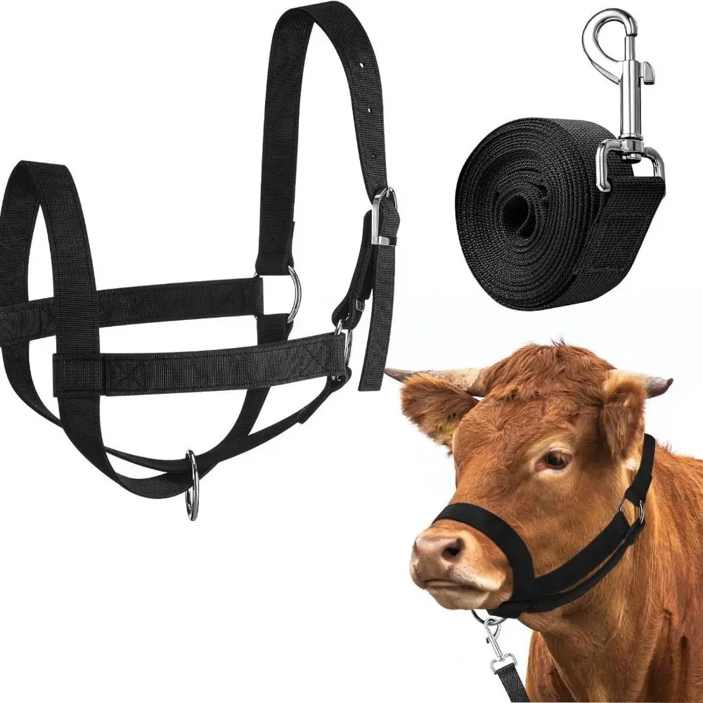Equestrian Supplies Adjustable Cow Halter with Lead Heavy Duty Nylon Horse Halter Durable Harness Calf Training Rope Outdoor Use