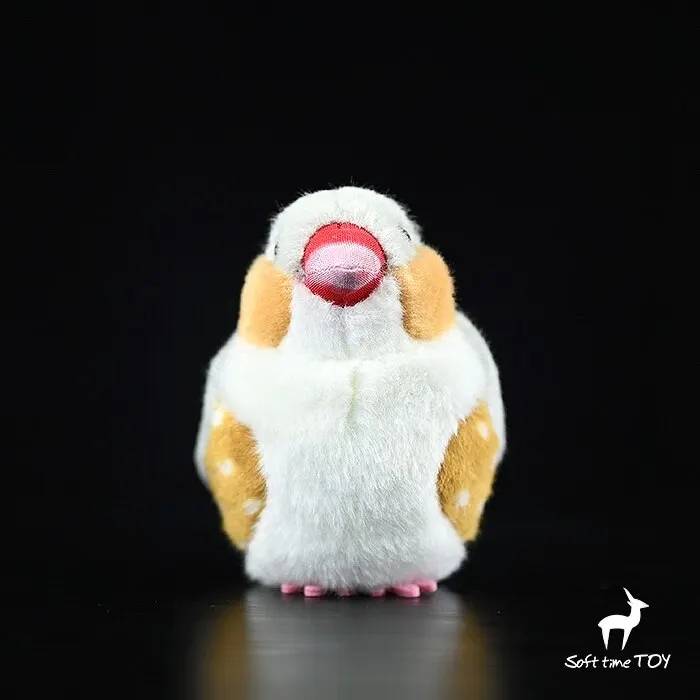 Taenopygia guttata ,Pearl Bird,Knickknack,nicknack,Small ornaments and miniature models