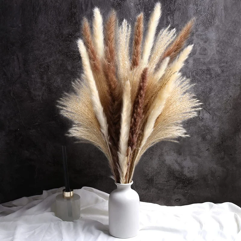 60Pcs Dried Pampas Grass Decor 17 Inch Natural Pampas Floral/ Dried Pampas Grass for Flower Arrangements Wedding