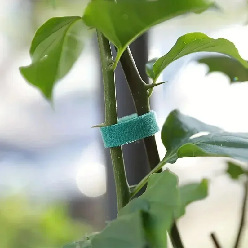 Nylon Self Adhesive Plant Cable Tie Adjustable Green Plants Hook Loop Support Twine Bandage Reusable Fastener Tape Strips Garden