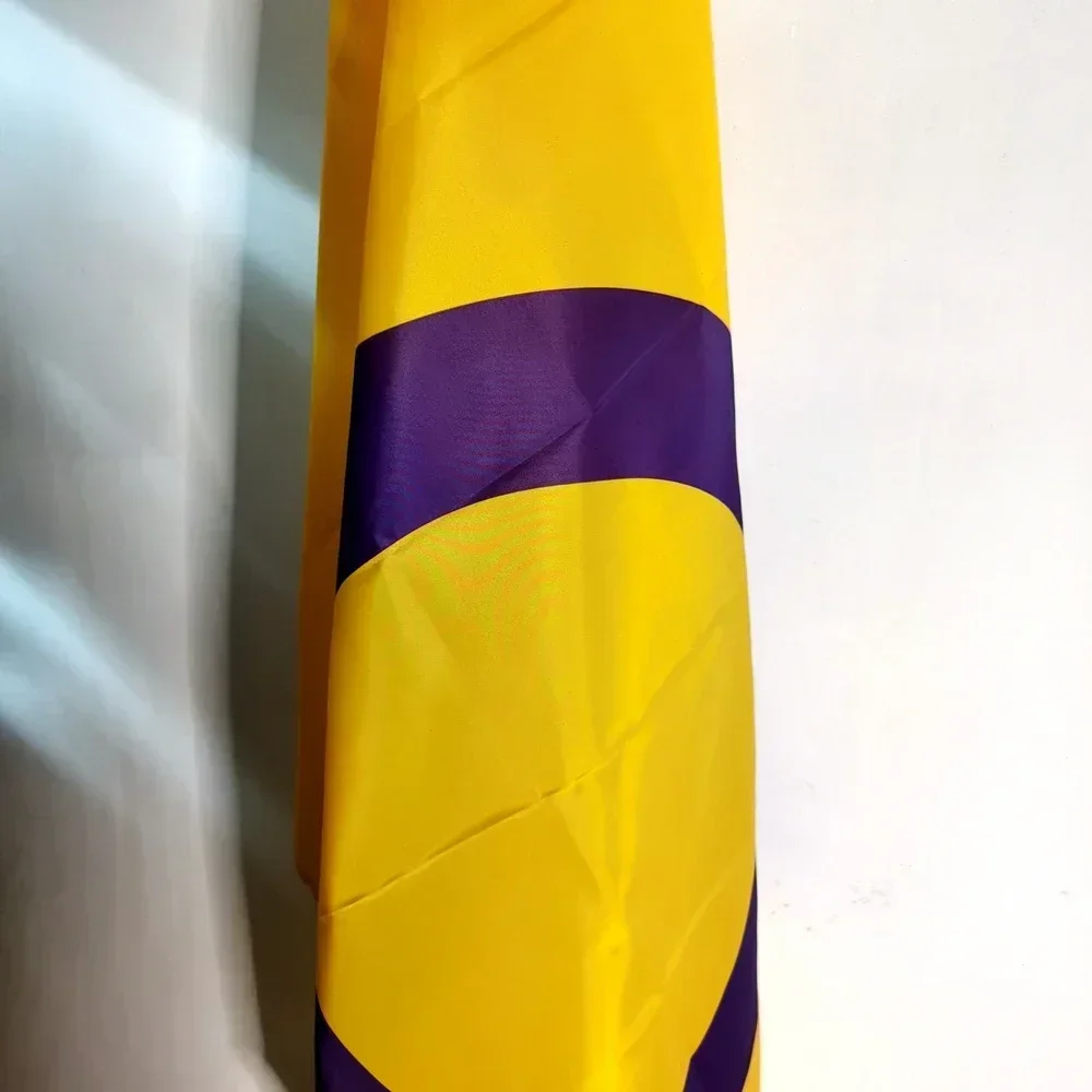 Intersex Progress Pride Flag 90x150cm- LGBTQ+ Vibrant Rainbow Hanging Flag Polyester