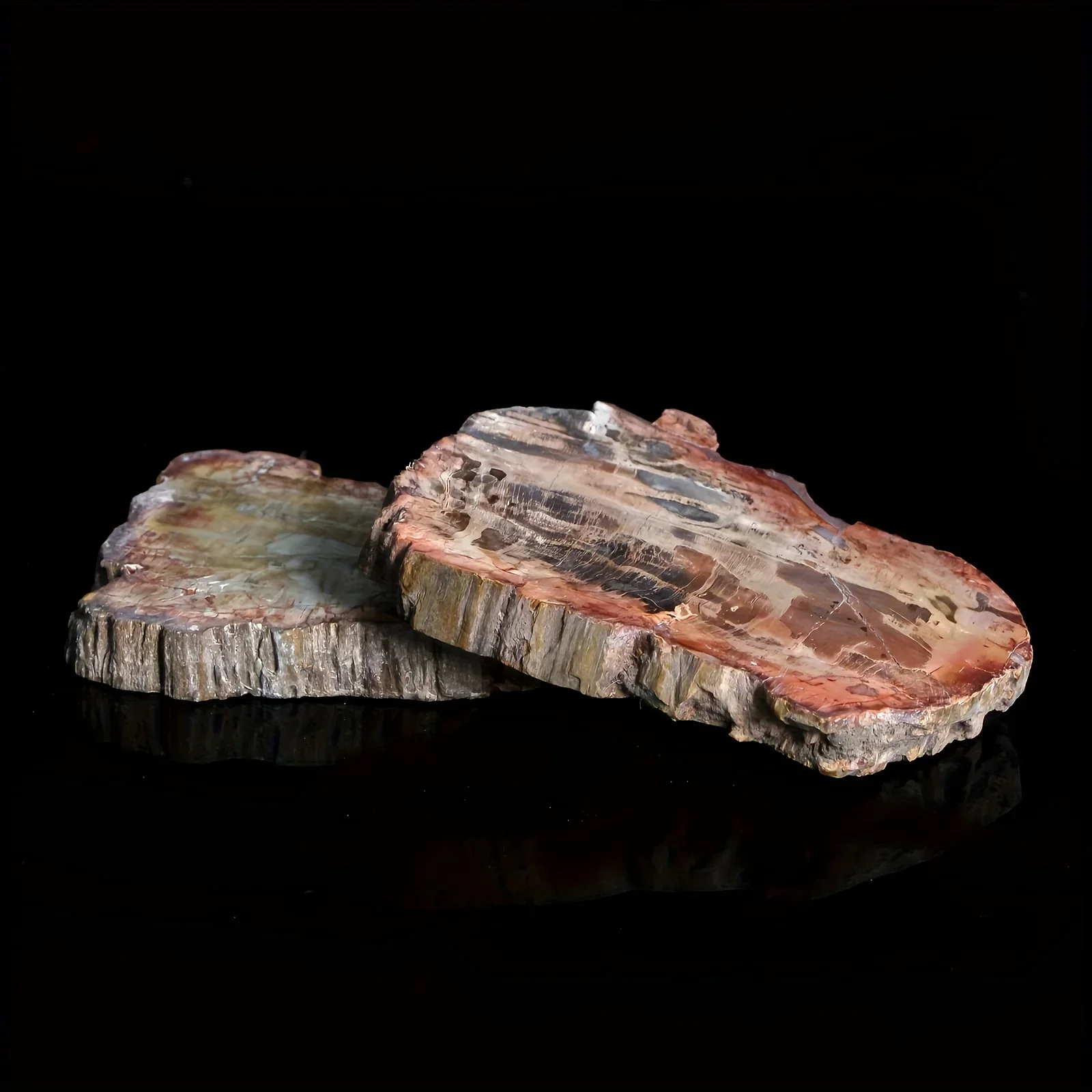 Madagascar petrified wood is a treasure of mankind. It has sacred energy and is the most unique gift for friends.