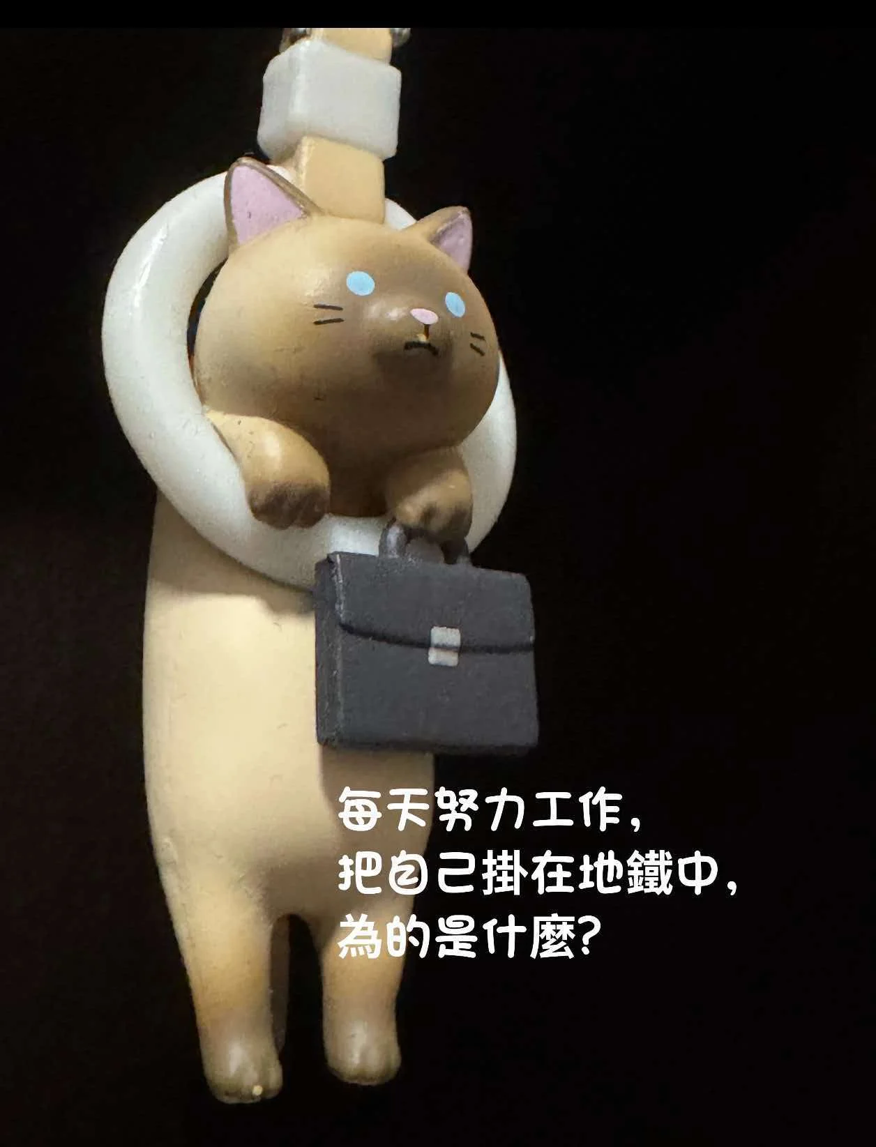 Nouveaux produits en stock : Anneaux de transport, Boîtes mystères chat, Porte-clés, Pendentifs mignons pour sacs, Cadeaux surprise de vacances pour amis, Souvenirs