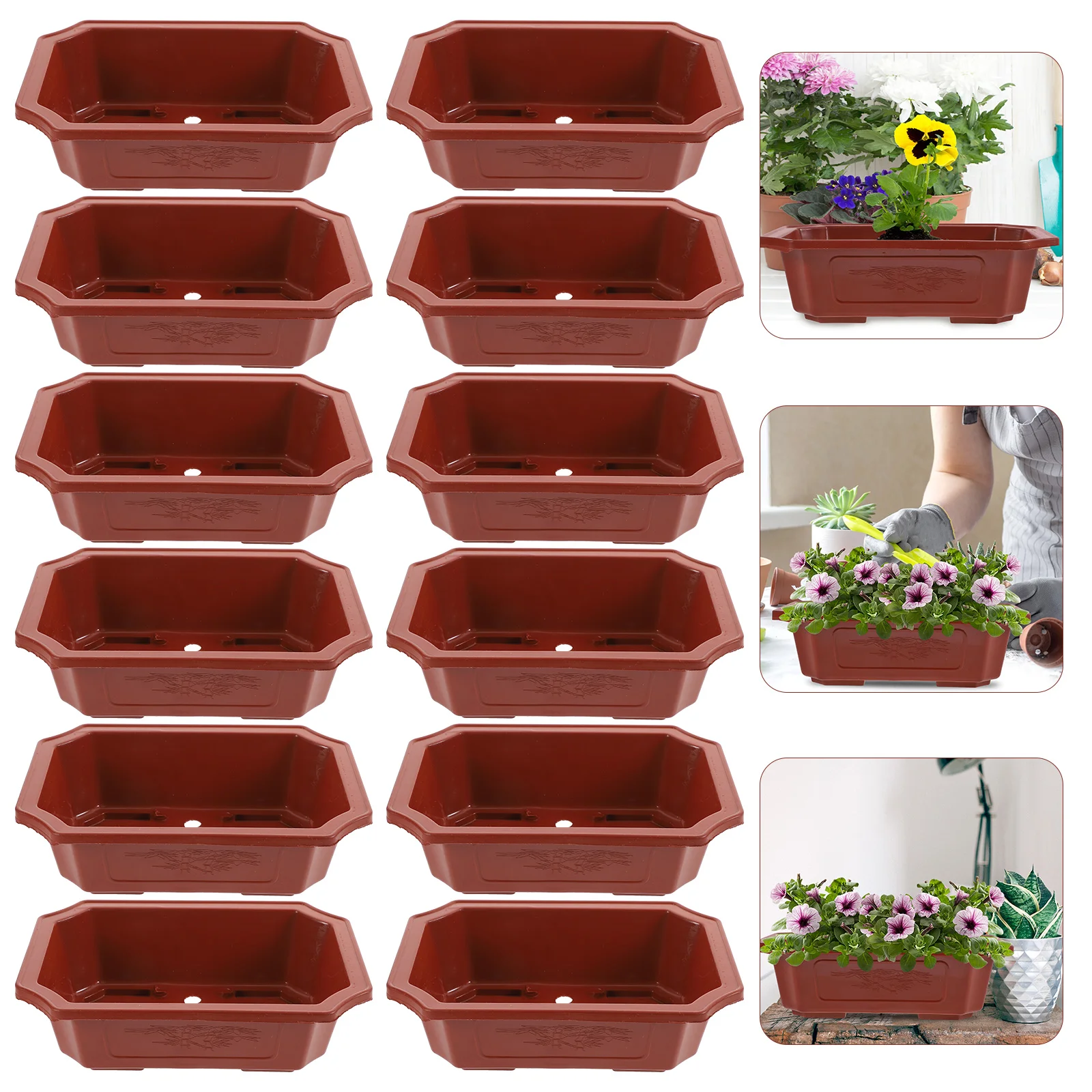 

12 Pcs Flowerpot Bonsai Oval Planter Planters for Plants Decorative Pots Indoor Balcony Household Office