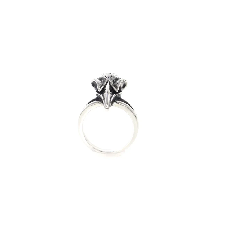 WDM Jewelry 316l Stainless Steel Raven Skull Haed Rings Gothic Woodpecker Crow Skull Ring Vintage Viking Raven Head Ring