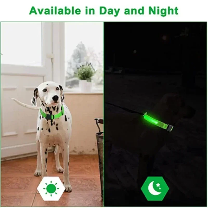 Collar con luz LED brillante para perro pequeño, accesorio con iluminación intermitente ajustable, antipérdida nocturna, productos para mascotas