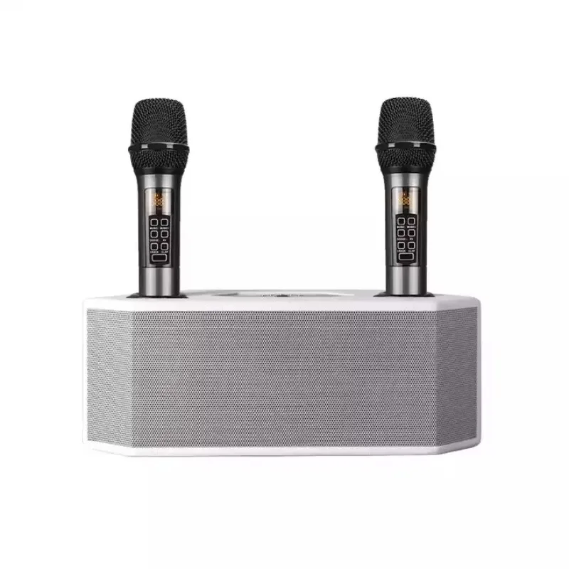 

Portable Active Karaoke Speaker With Wireless Microphone BT Connecting For Phone Use DSP Function UHF Wireless Microphone