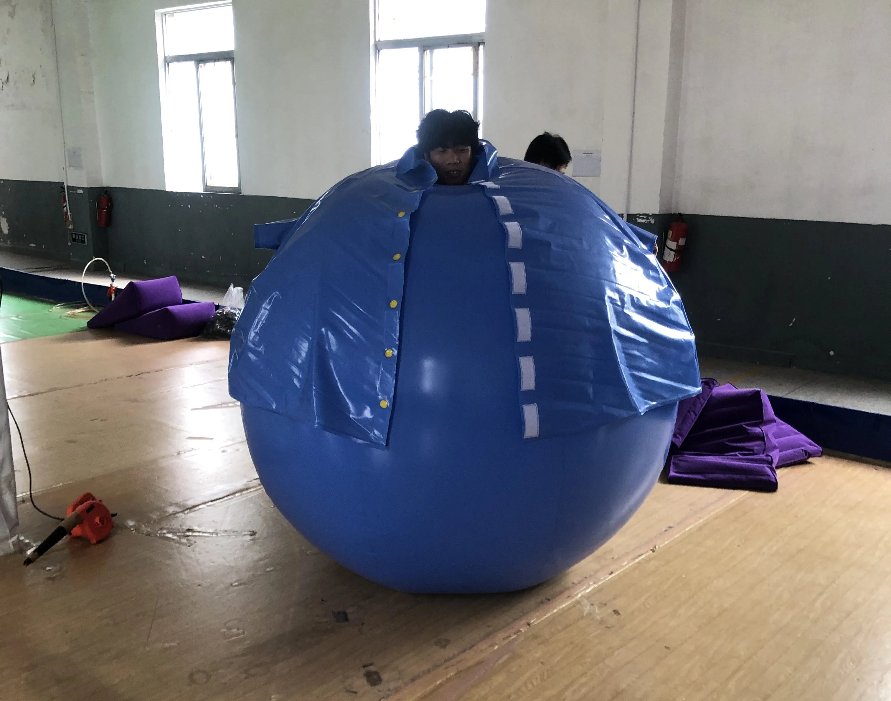 Inflatable Balloon Set Blueberry Inflatable Set