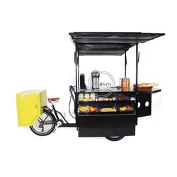 Europe Adult Electric Tricycle Outdoor Cargo Bike Family Three Wheels Food Vending Cart for Sale