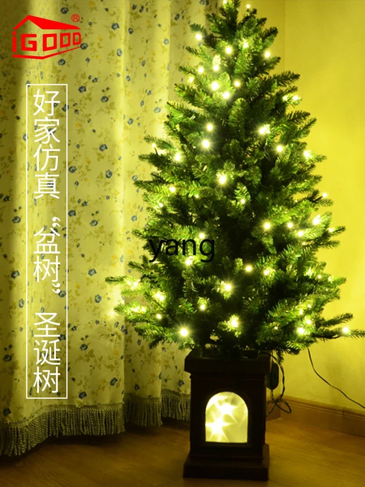 L'm'm1.8m Eco-friendly decorative luminous home holiday bonsai tree