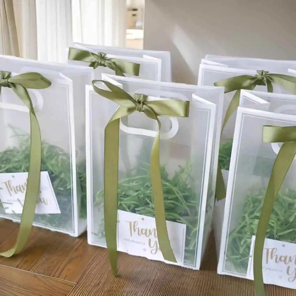 waterproof-transparent-gift-bag-high-end-sensation-handbag-sna-bag-tee-eight-women's-day-activi-prtional-eco-friendly