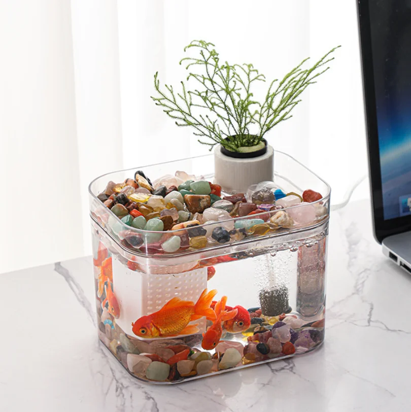 Kleines Fischbecken, kleines Desktop-Aquarium für das Wohnzimmer mit Luftpumpe, für faule Hausbewohner, kein Wasserwechsel nötig, ökologisches Aquarium. – Detail 5