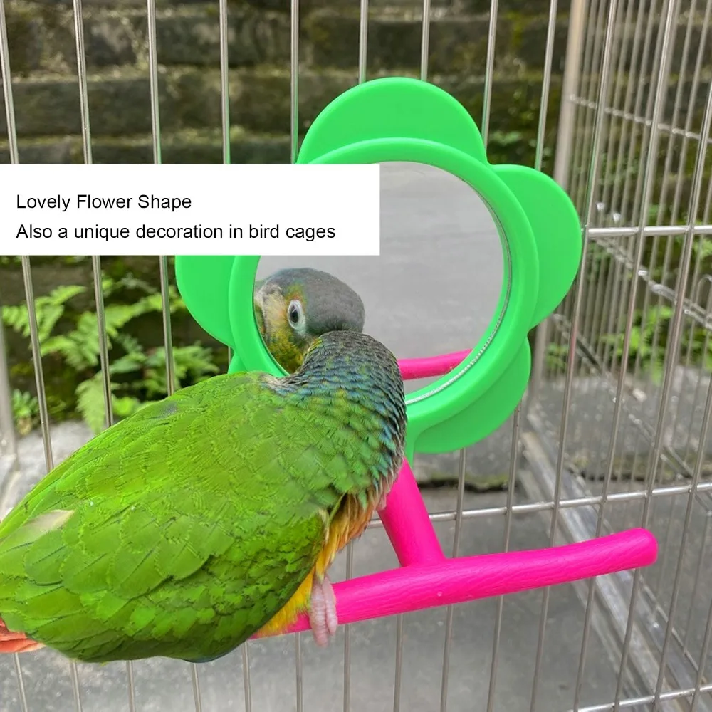 Flower Shape Bird Mirror Perch Acrylic Material Colorful Design Parrot Mirror Stand Plastic Material Standing Structure