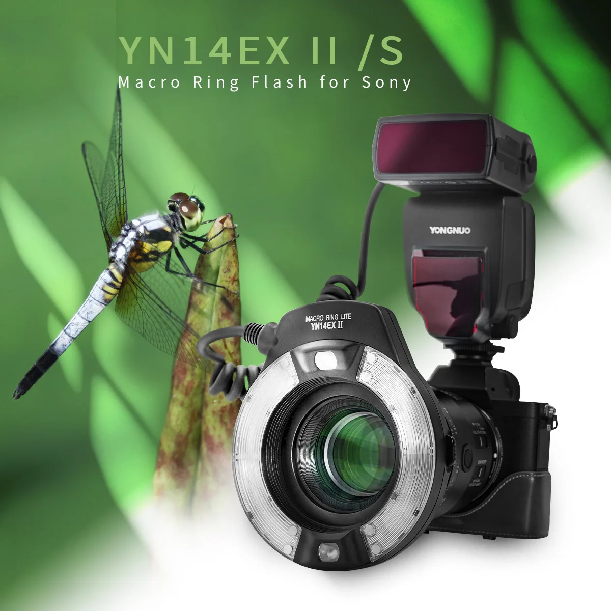 

YONGNUO TTL YN14EX II S LED Macro Ring Flash Speedlite Light YN14EX II for Sony Canon EOS 1Dx 5D3 6D 7D 70D 80D Cameras