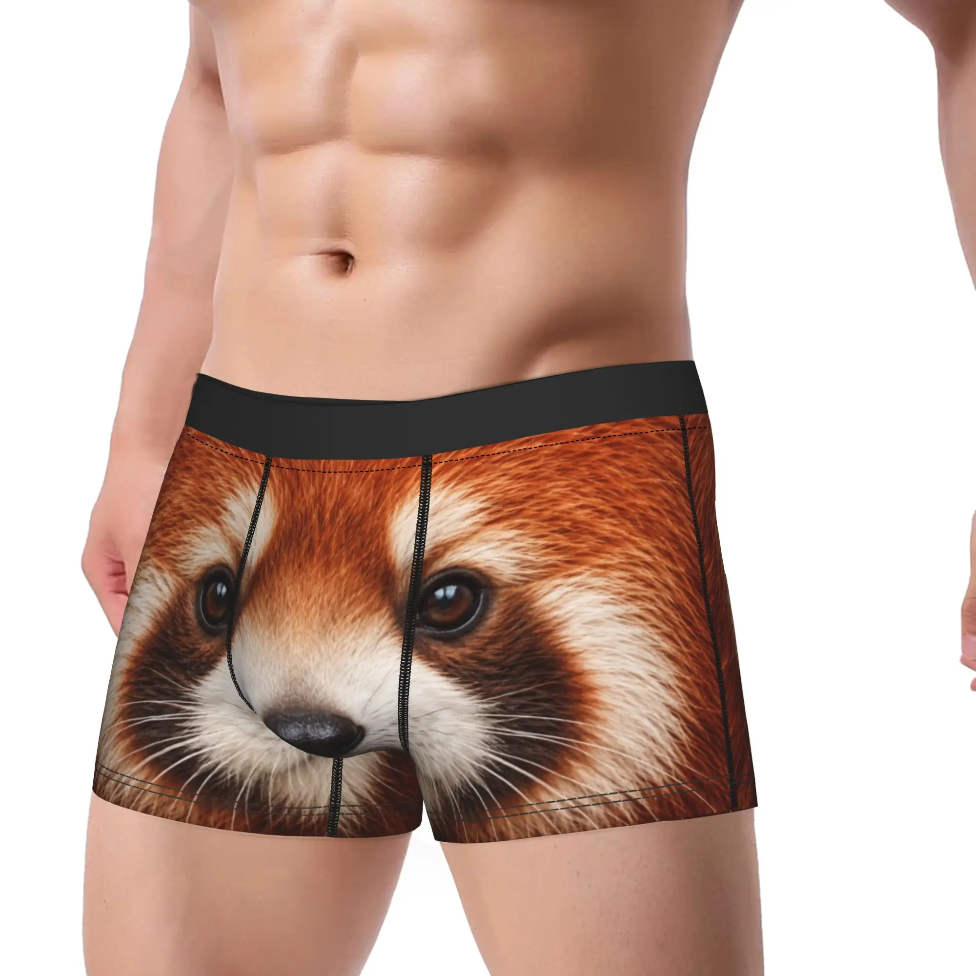Curious Red Panda Face  Accessories Boxers Briefs Funny Underwear  Boxer Briefs Gag Gifts For Man