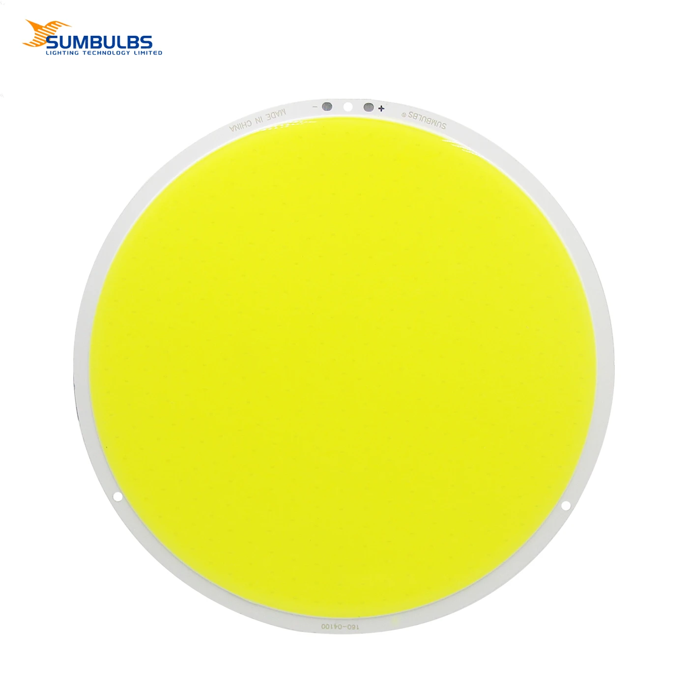 

Sumbulbs Super Bright 160mm round LED Bulb DC 12V 100W COB Light Source Warm/Cold White DIY Outdoor Lamp