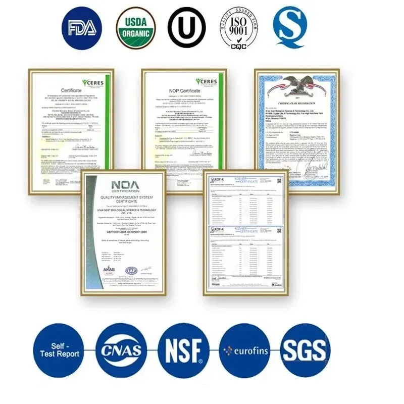 50g-1000g Transglutaminase (Meat Glue) 100% Powder