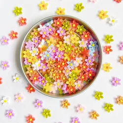 100Pcs 3D Colorful Resin Mini Flower Gems Flatback Figurines Scrapbook Pretty little flowers Applique Nail Art Decor Crafts