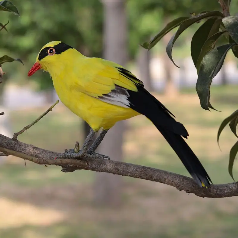 Simulation bird foam & feather Black-naped Oriole bird about 30cm model ornament home decoration gift y657