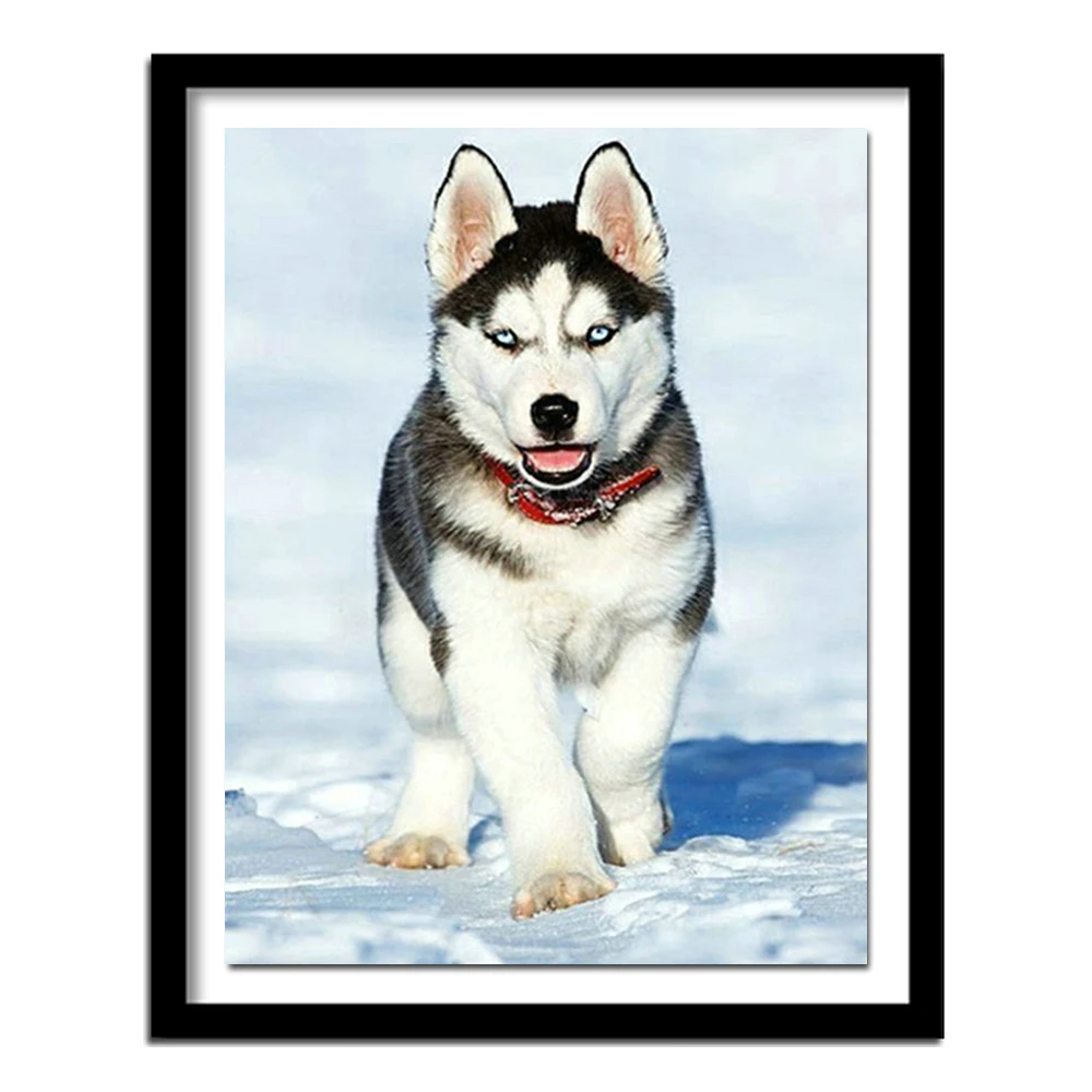 NEW DIY Snow husky 5D dog diamond  full diamond embroidery needlework diamond painting cross stitch crafts home decor