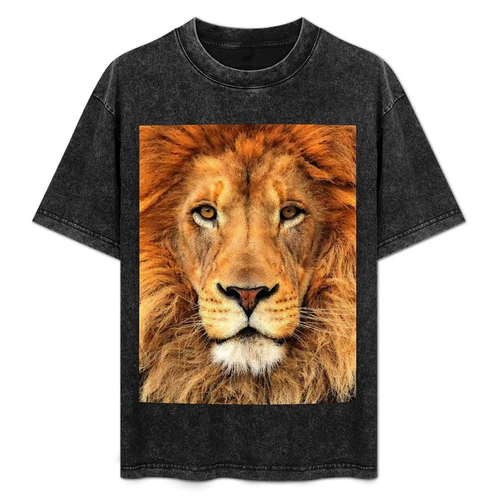 

Beautiful Lion Face Wild Cat Glare T-Shirt Soft Durable Cotton T-Shirt