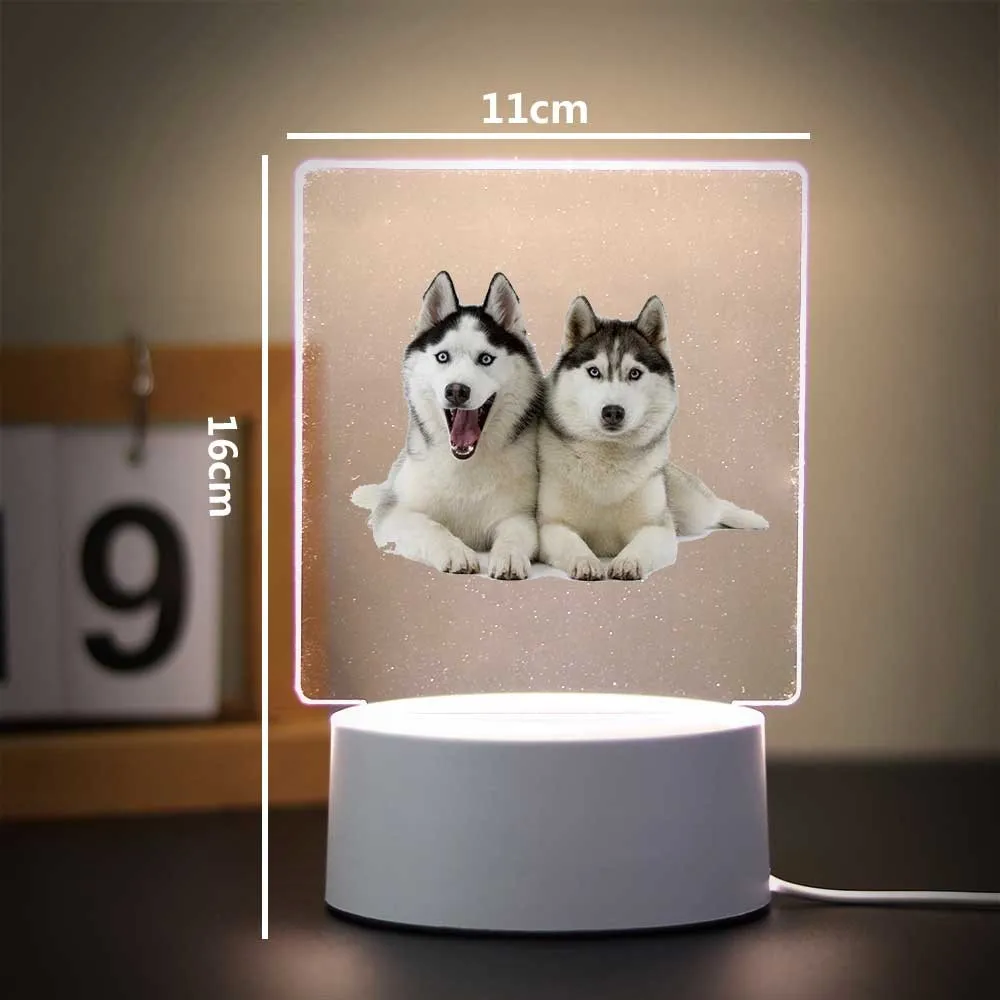 Lámpara 3d acrílica para perro, decoración para habitación de niños, luz nocturna Huskies, regalo de cumpleaños para niños, 1 ud.