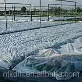 2025Coperture agricole in pp Spunbond non tessuto