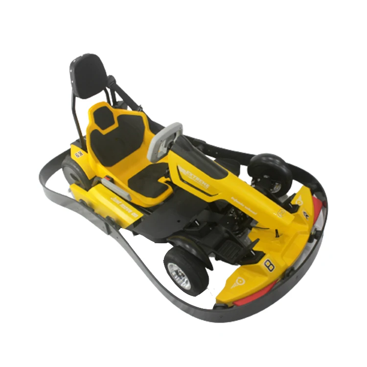 

2024 Hot Selling Go Karts for Adults Kids Electric Go Kart Go Karts for Amusement Park