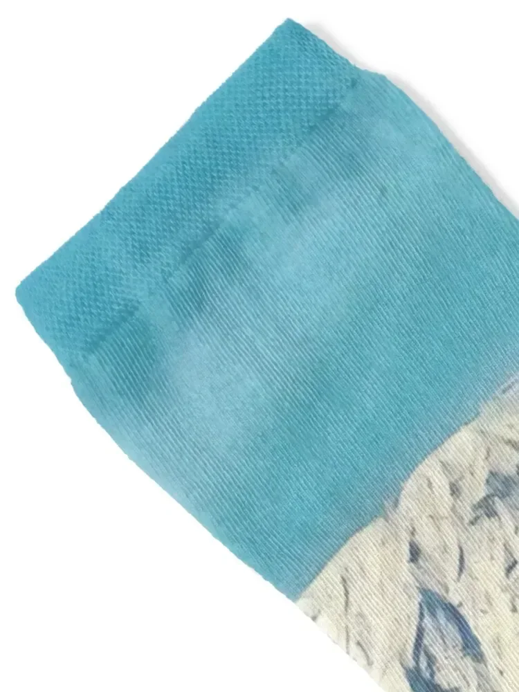 Mount Kilimanjaro Socks new in's fashionable Running japanese fashion Socks Men's Women's