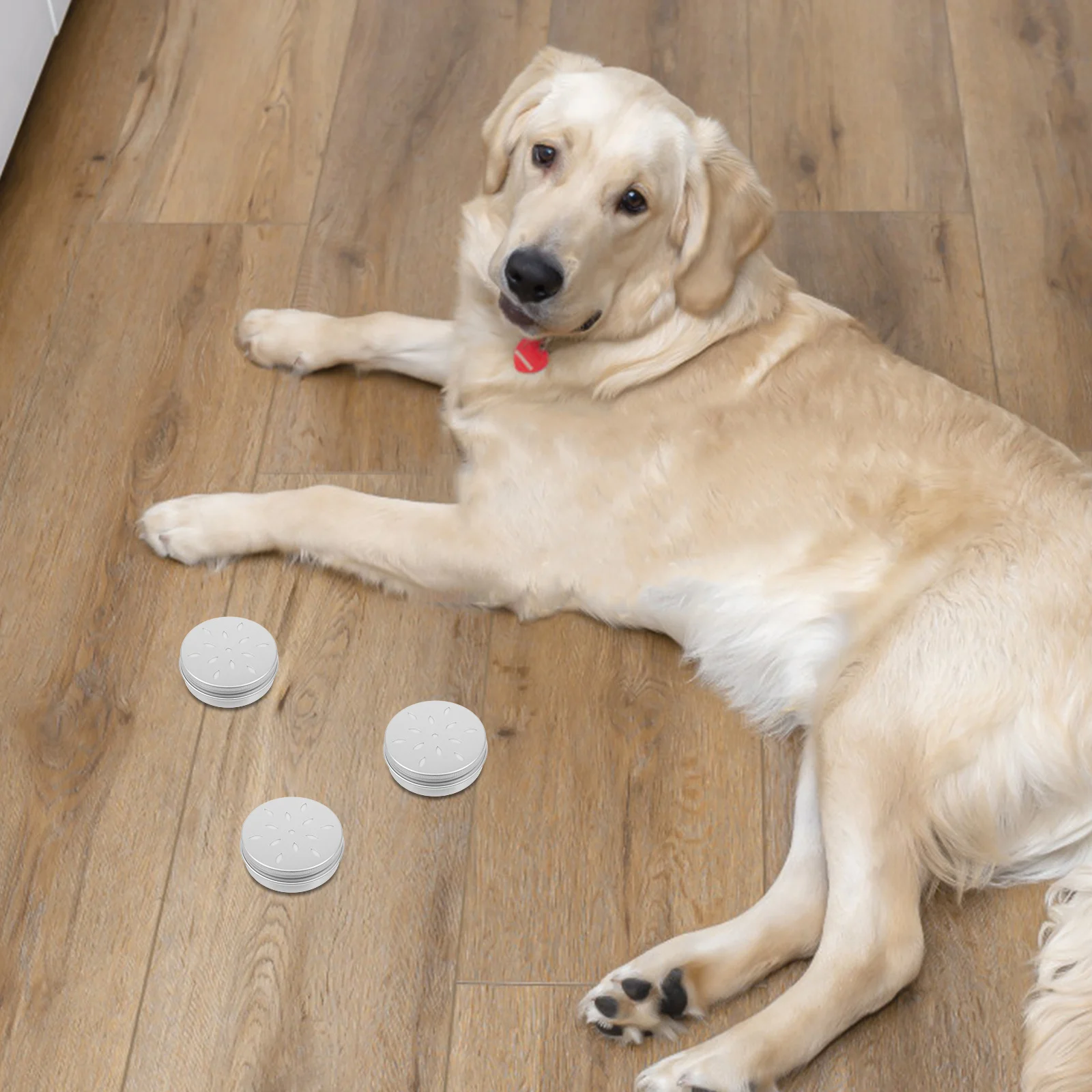 

10pcs For Dogs Metal Tins With Lids Dog Snuffle Training Container Odor Puzzle Dog Training Supplies