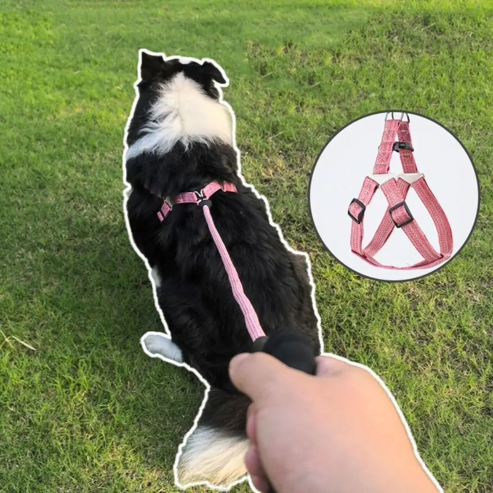 

Adjustable Dog Harness and Leash Set Lightweight Soft Pet Chest Strap Escape Proof Comfortable Cat Collar Lead Leash Outdoor