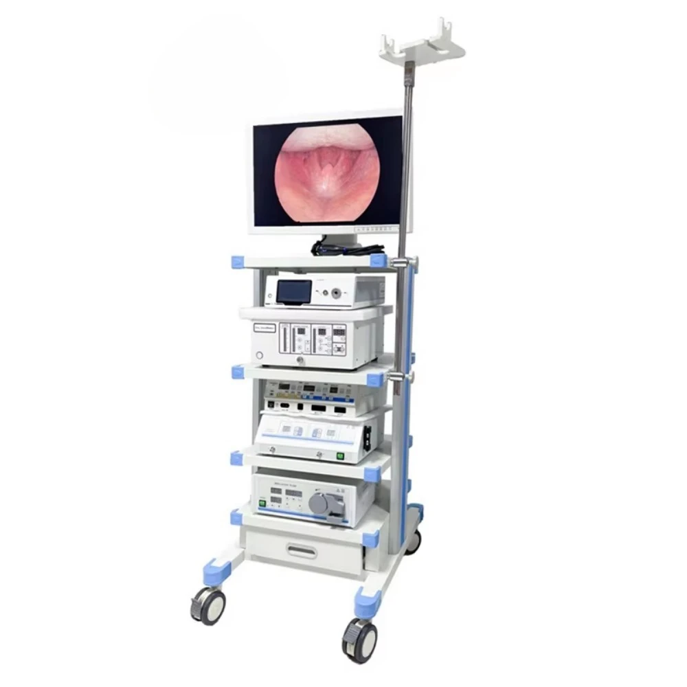 OfficAT veterinary equipment full high definition 1080p medical endoscope laparoscopic tower equipment Fhd endoscope  sy