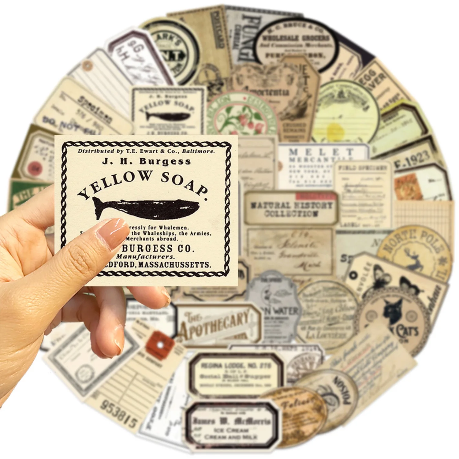 50Pcs Creative Retro Specimen Label Design Stickers Scrapbook Journal Decals DIY Decor Laptop Luggage Vintage Sticker