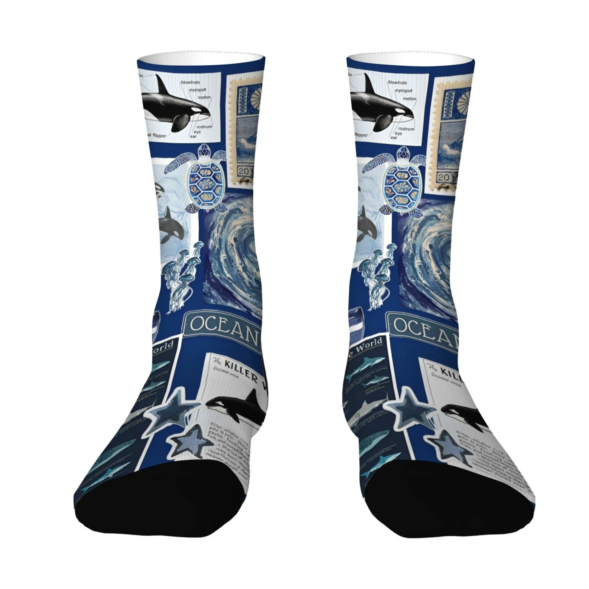 海洋愛好家のための教育ギフト 靴下 レトロな科学イラストスタイルのスタンプシールデザイン ユニークなノベルティソックス