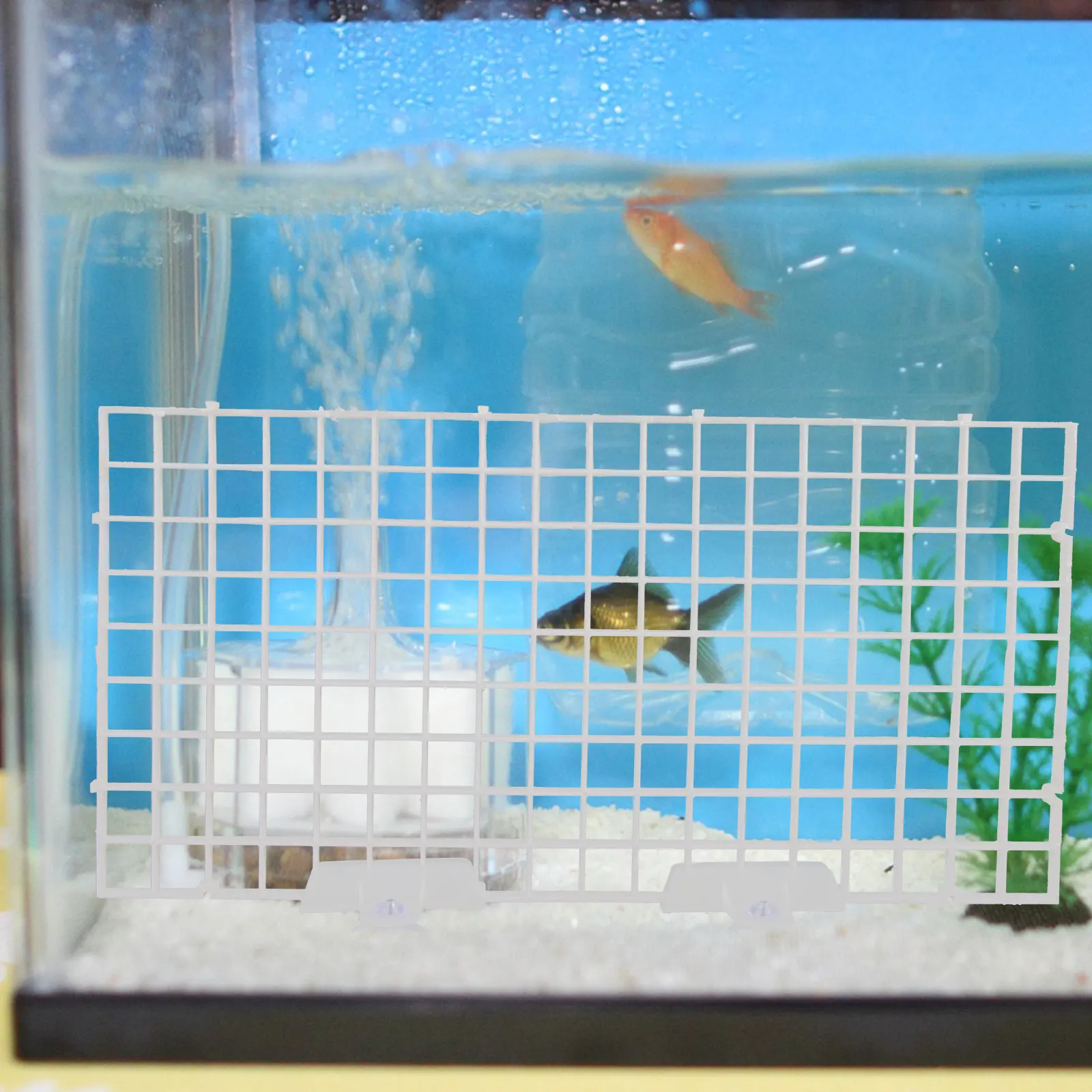 

Durable Aquarium Fish Tank Divider White Isolation Board Suction Cup Partition Plate Easy Installation Portable Pet Supplies