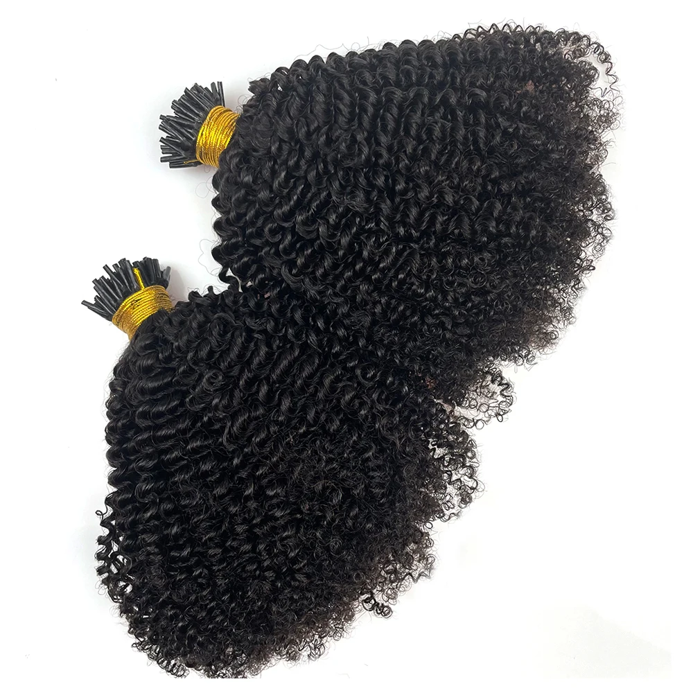 Afro Kinky Curly I Tip Extensions de cheveux humains I Tips Microlinks Virgin Mongolian Remy Hair Couleur naturelle pour les femmes noires