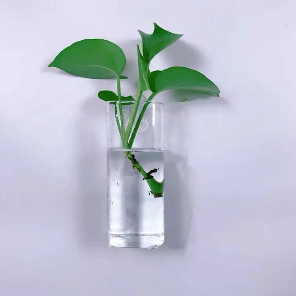 Decoration With Beautiful And Eye-catching Wall Hanging Glass Planters Wide Application Unique