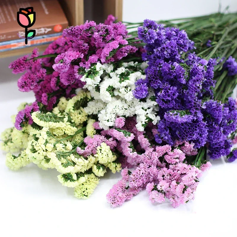 

120g Natural Dried Flowers Forget Me Not Bouquets Wedding Decoration Artificial Flowers DIY Home Room Vase Decor Christmas Plant