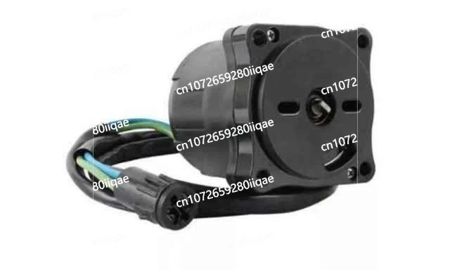 Outboard 4 40-60.90 -140.175-300 Lifting Motor Motor