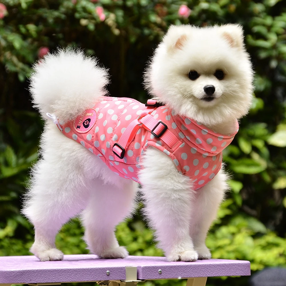 Pet Dog Jacket With Harness Winter Warm Dog Clothes For  Small Large Dogs Windproof Dog Coat Chihuahua French Bulldog Outfits