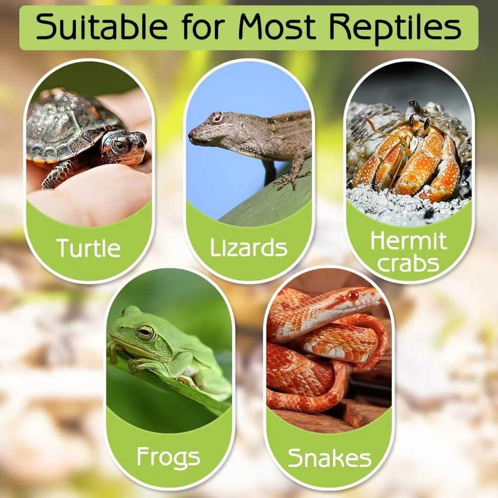 Thumbnail 3 - #14 Compare Reptile Water Bowls Before You Buy